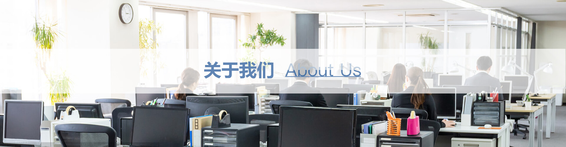 武汉伍福高新科技有限公司公司简介